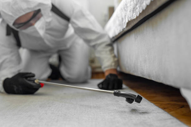 Professional Bed Bug Control technician working in Woodbury, NJ