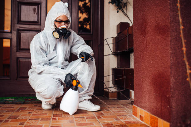 Reliable Bed Bug Control contractor in Woodbury, NJ by Nex Pest Control