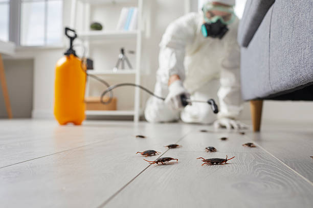 Trusted Cockroach Control service in Woodbury, NJ - Nex Pest Control